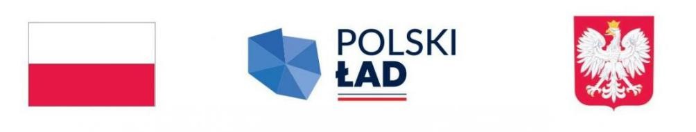 Polski Ład logo.jpg
